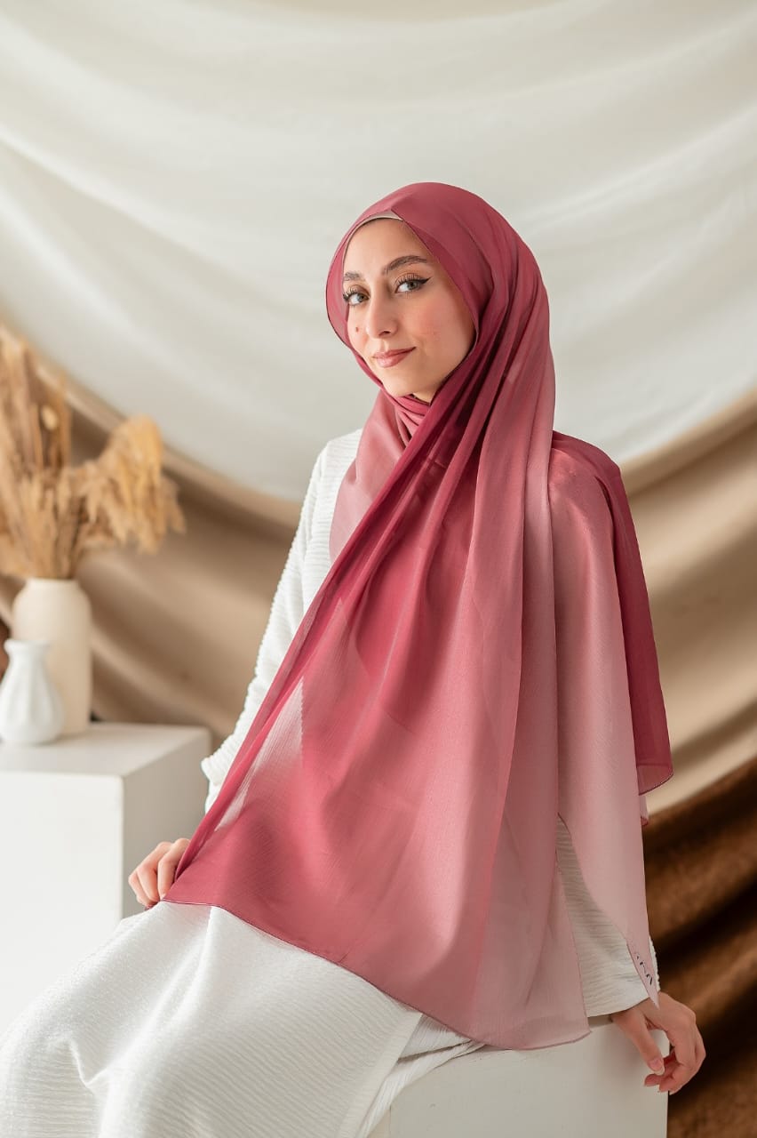 Marwa Scarf - Organza Degrade