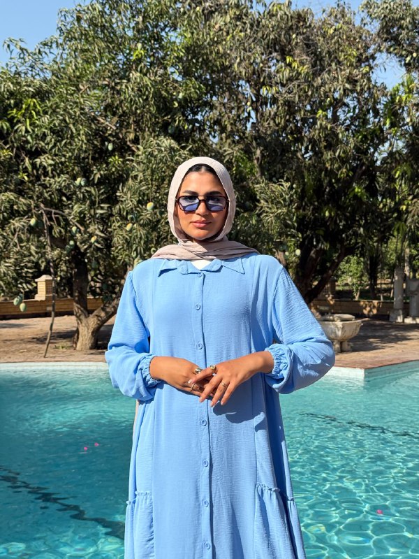 Wesal Dress - Linen