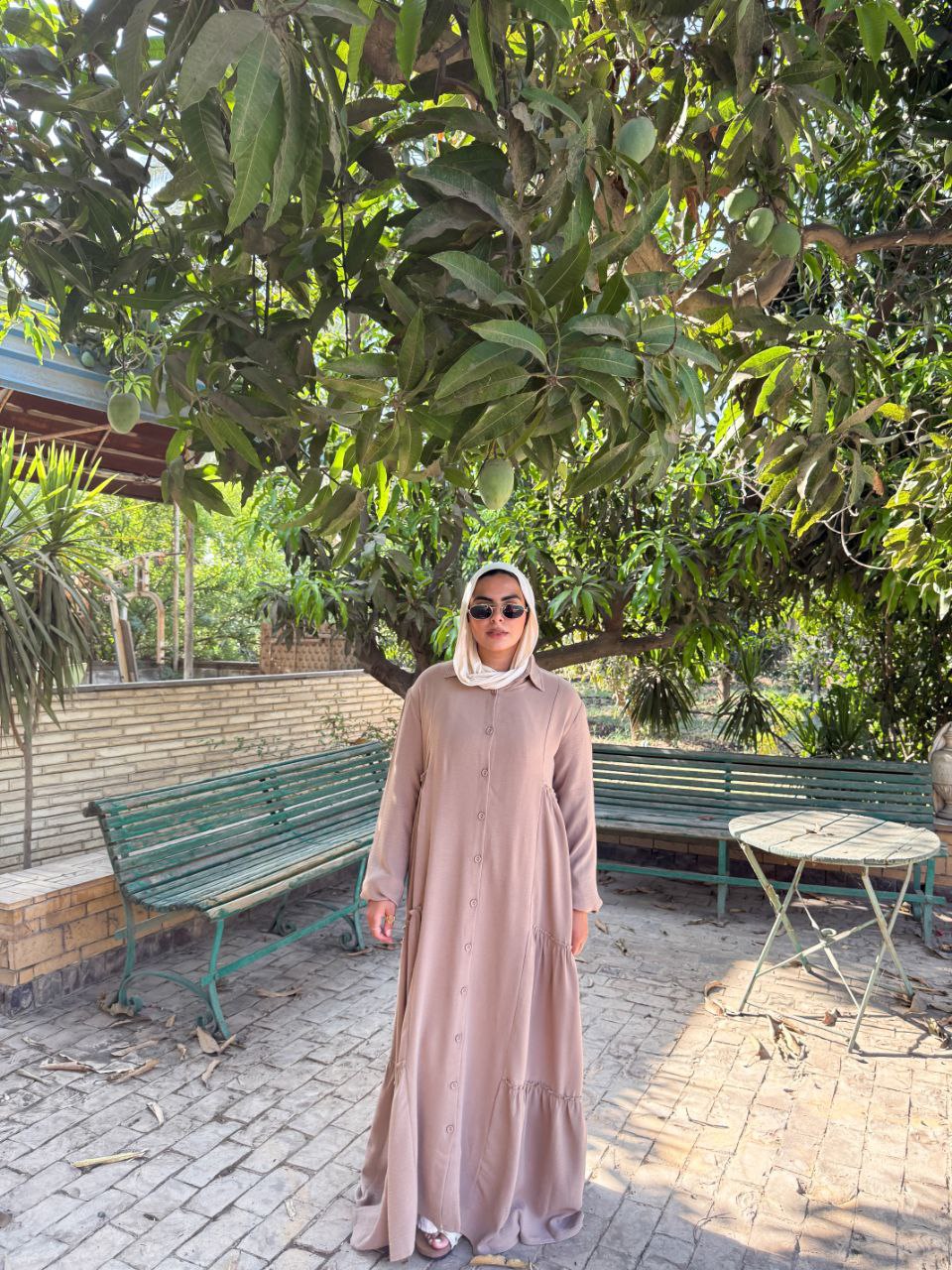 Wesal Dress - Linen