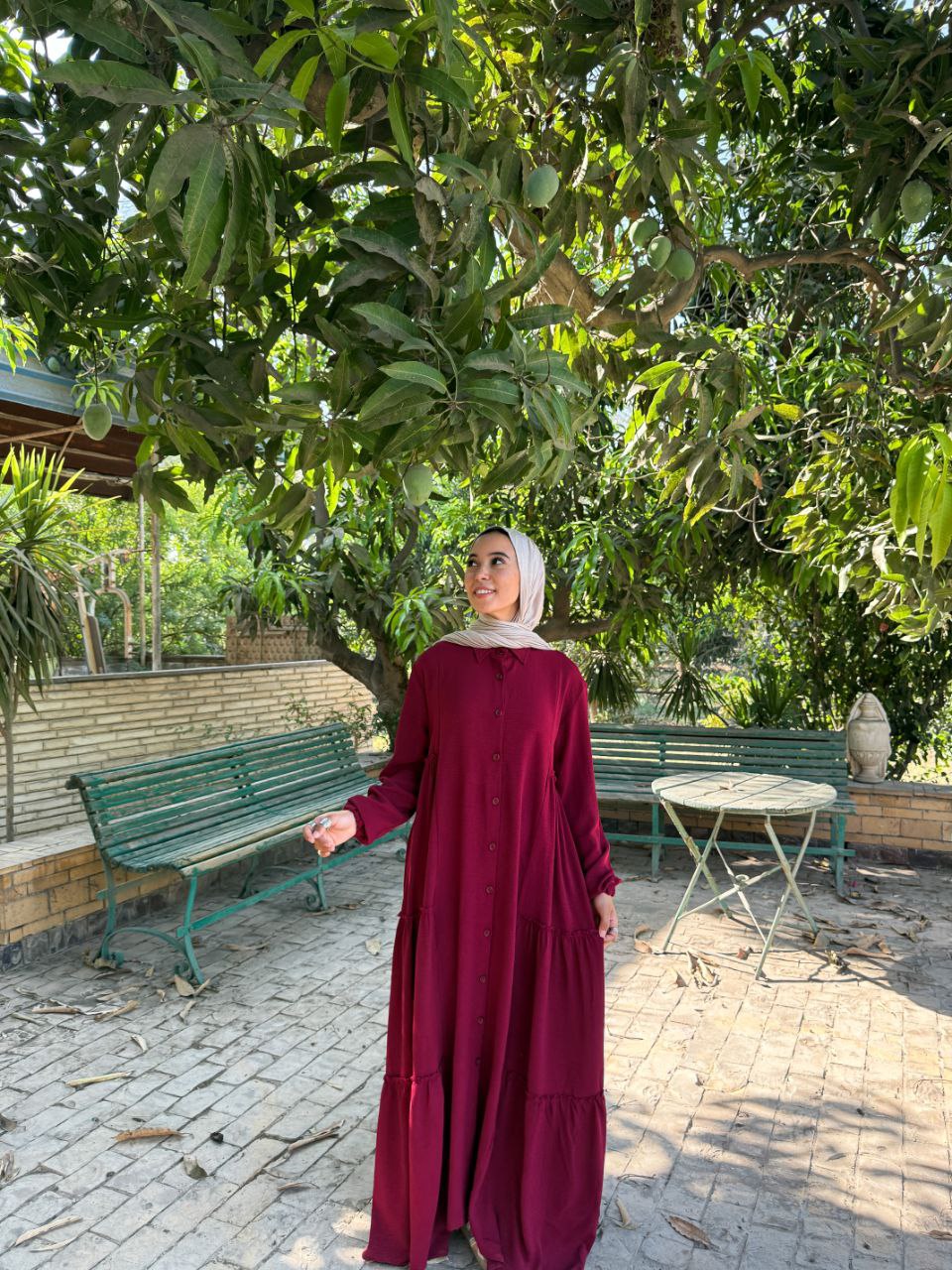Wesal Dress - Linen