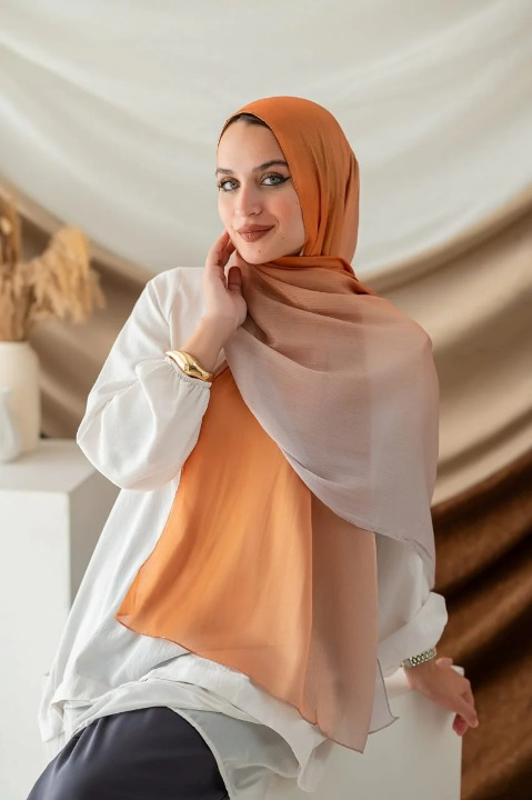 Zina Scarf - Organza Degrade