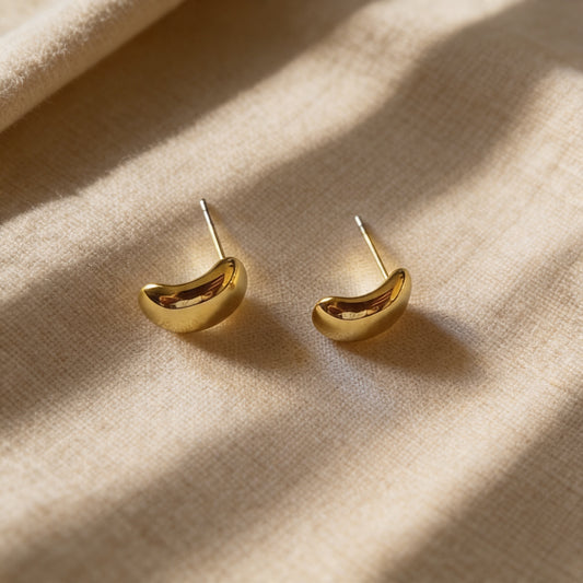 Dina Earrings - Stainless Steel